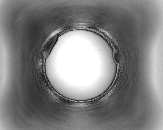 X0000084521402200703161538