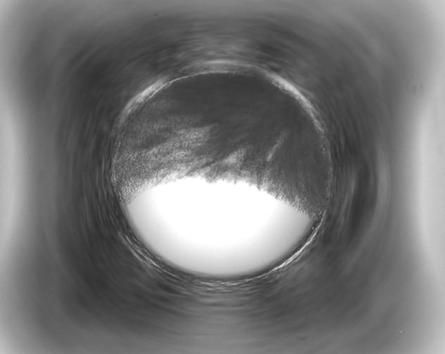 X0000084521403200703161538