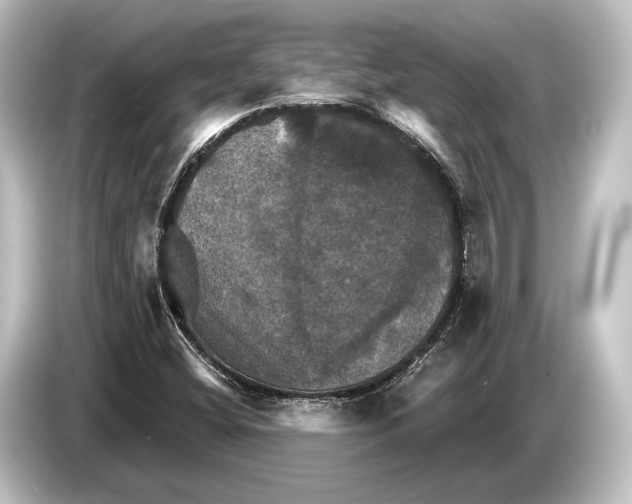 X0000084521404200703161538