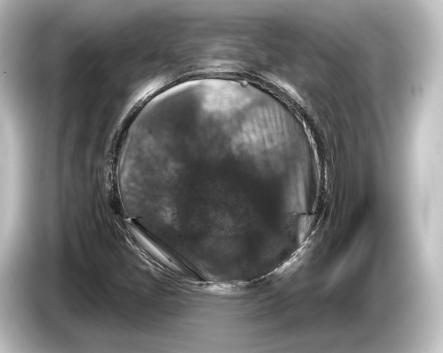 X0000084521405200703161538