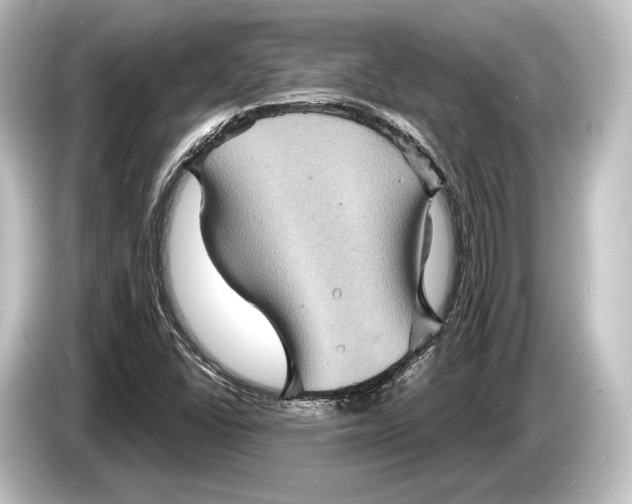 X0000084521406200703161538