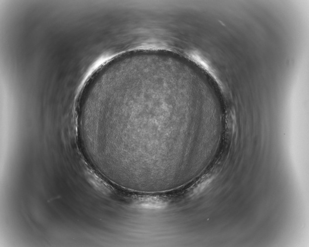 X0000084521408200703161538