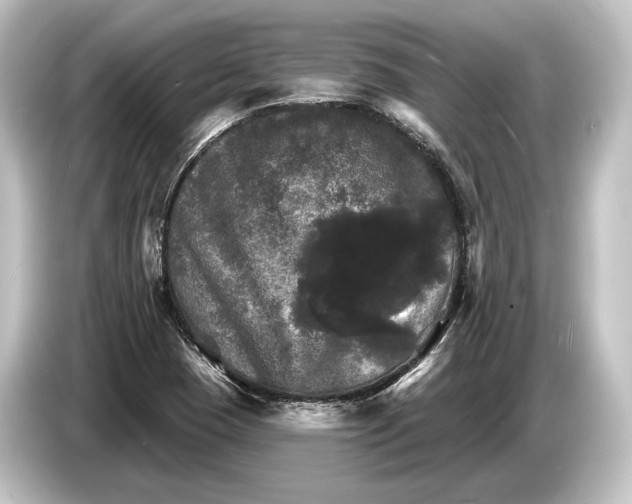 X0000084521409200703161538