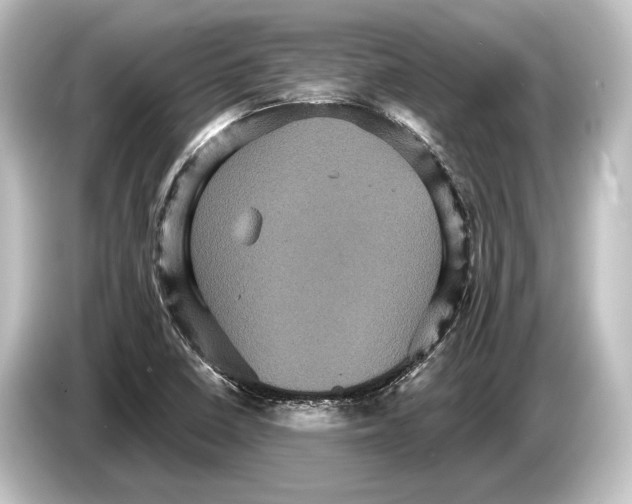 X0000084521410200703161538