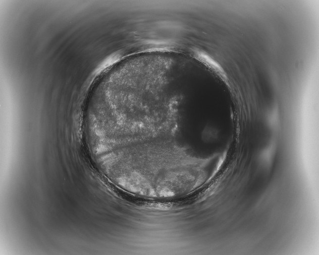 X0000084521411200703161538