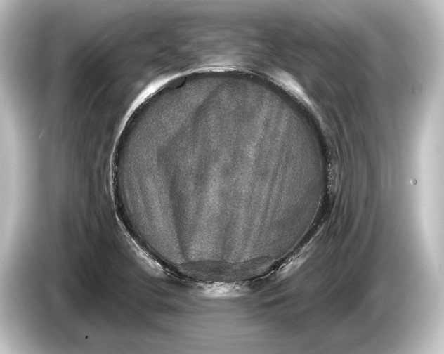 X0000084521412200703161538