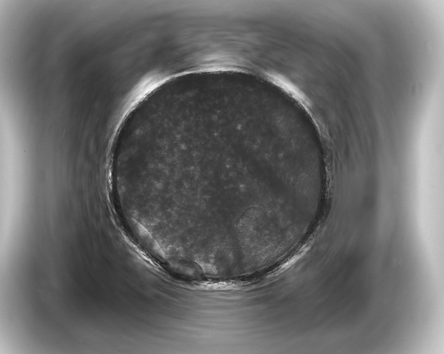 X0000084521415200703161538