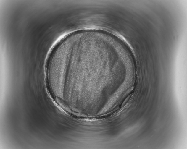 X0000084521416200703161538