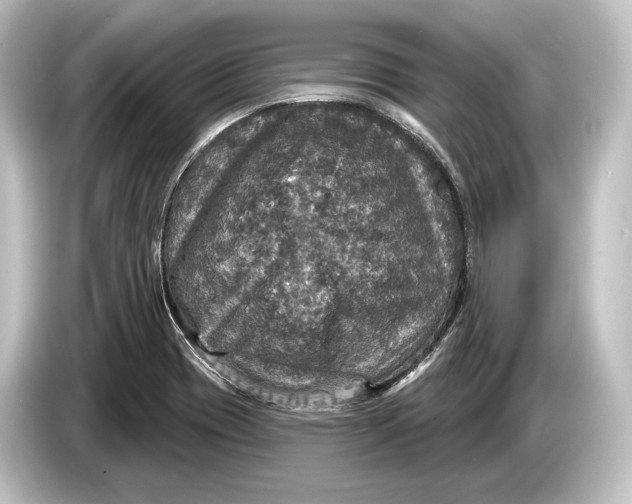 X0000084521417200703161538