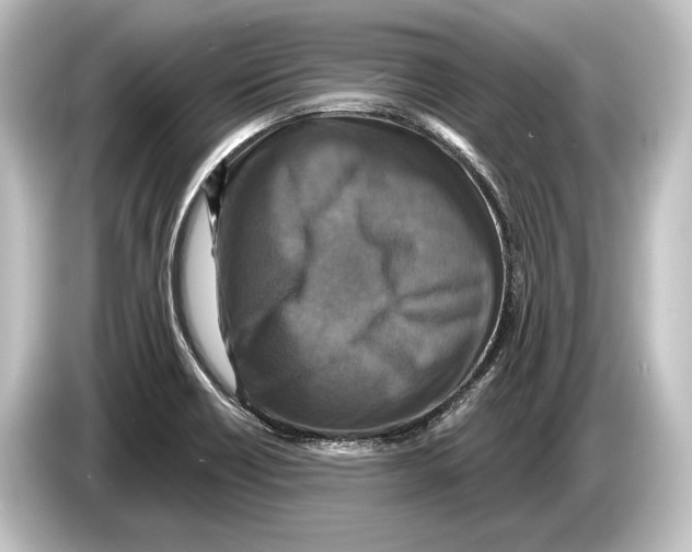 X0000084521418200703161538