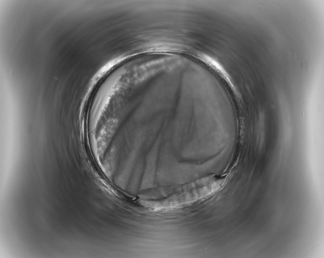 X0000084521419200703161539