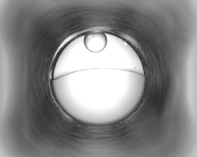 X0000084521420200703161539