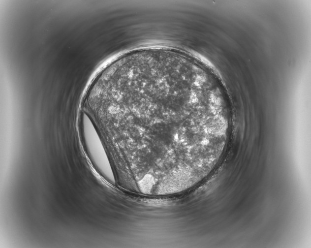 X0000084521421200703161539