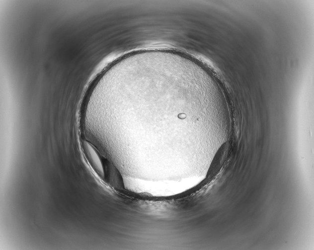 X0000084521422200703161539