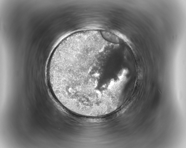 X0000084521423200703161539