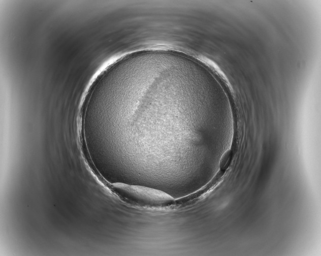 X0000084521424200703161539