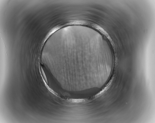 X0000084521425200703161539