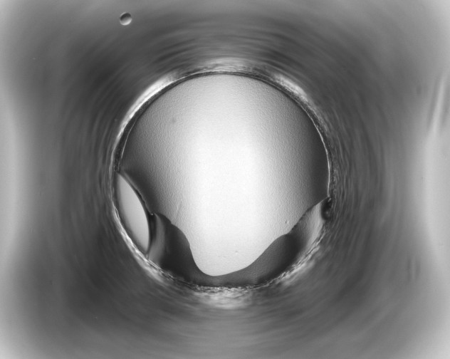 X0000084521426200703161539