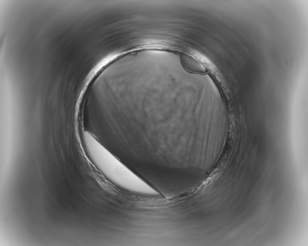 X0000084521427200703161539