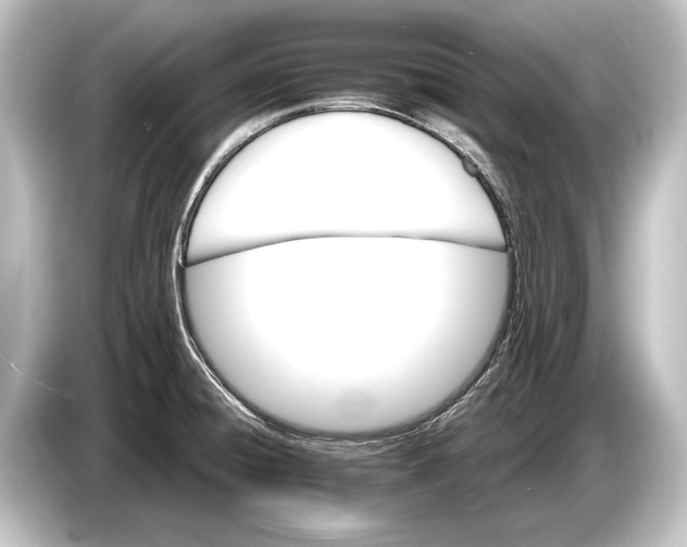 X0000084521428200703161539