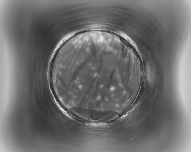 X0000084521429200703161539