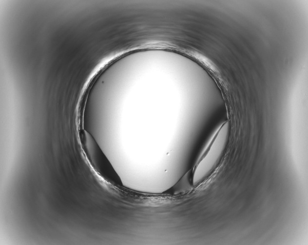 X0000084521430200703161539