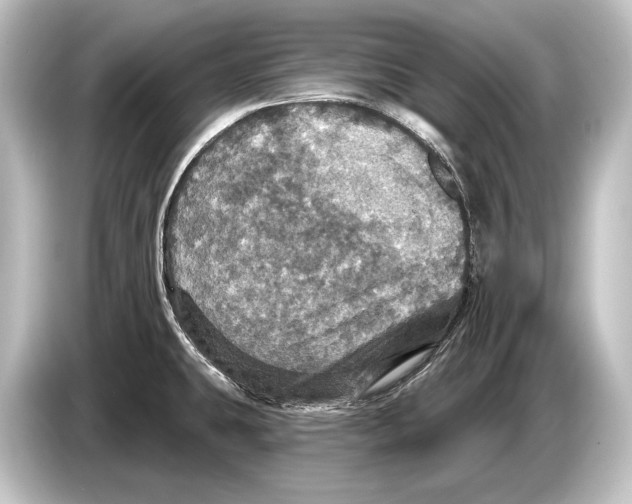 X0000084521431200703161539