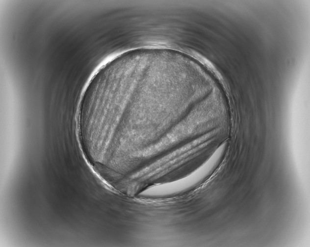 X0000084521432200703161539