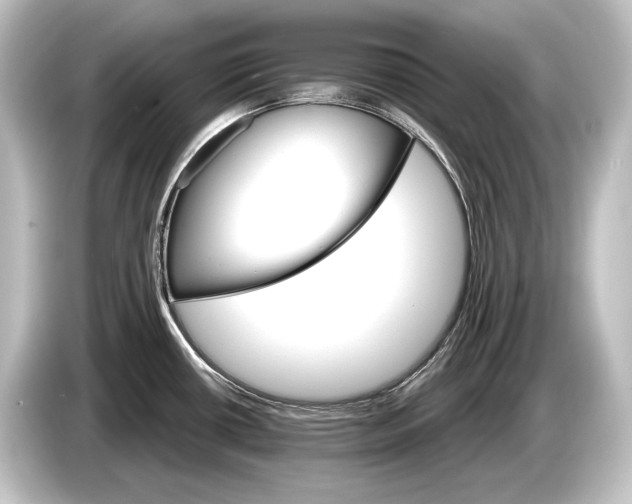 X0000084521434200703161539