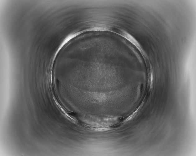 X0000084521436200703161539