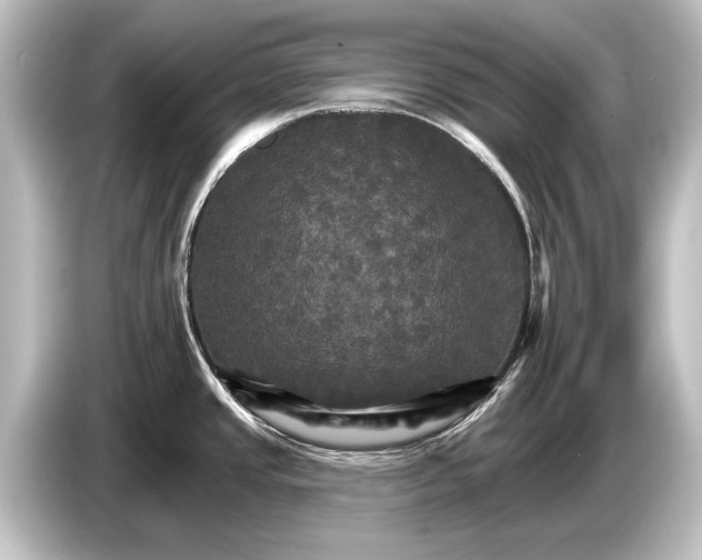 X0000084521437200703161539