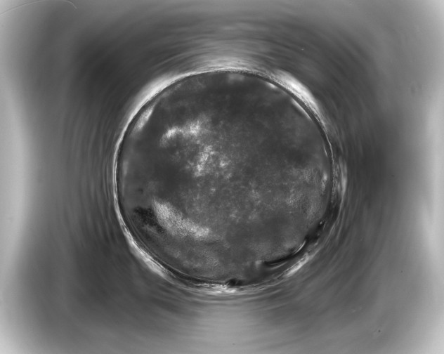 X0000084521439200703161539