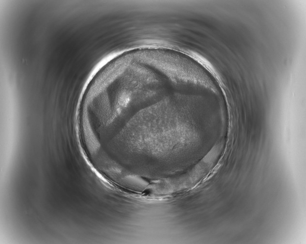 X0000084521440200703161539