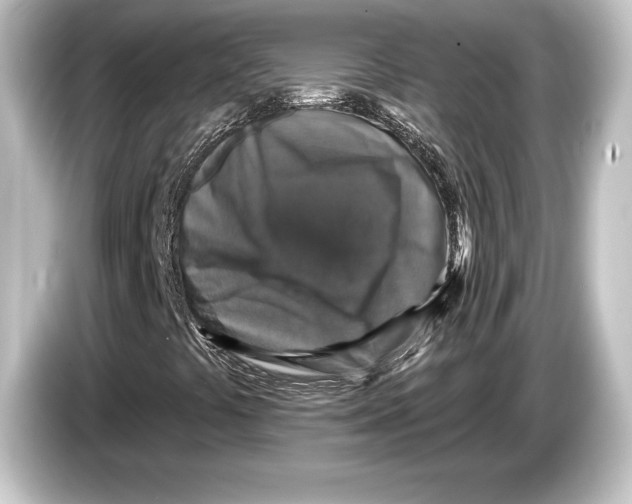 X0000084521441200703161538