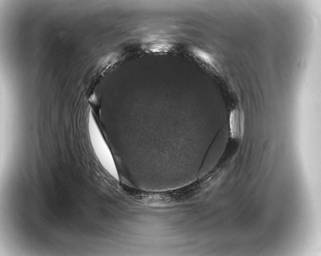 X0000084521443200703161538