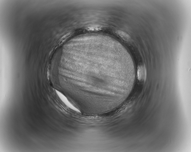 X0000084521444200703161538