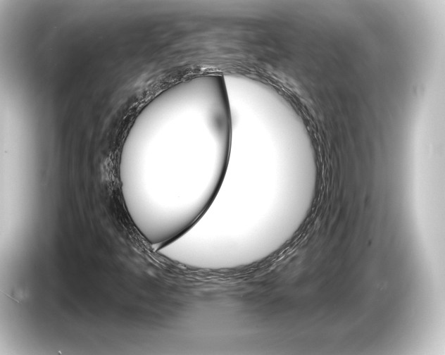 X0000084521445200703161538