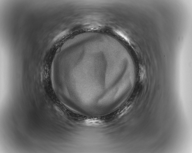 X0000084521447200703161538