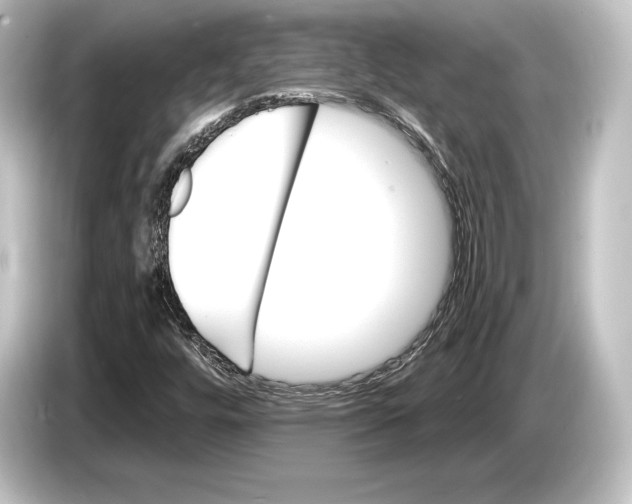 X0000084521448200703161538