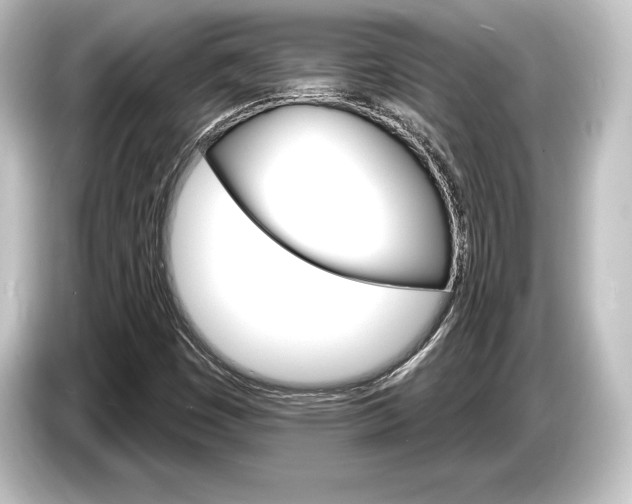 X0000084521449200703161538