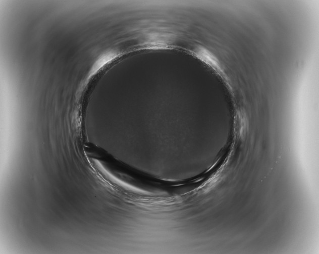 X0000084521450200703161538