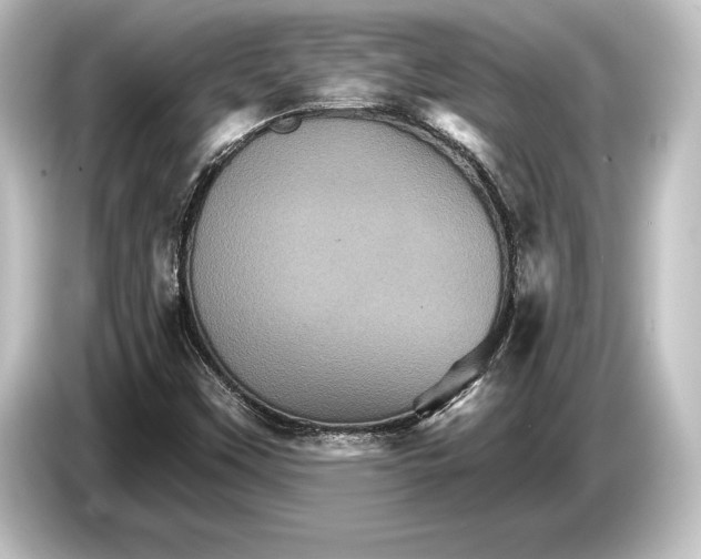 X0000084521451200703161538