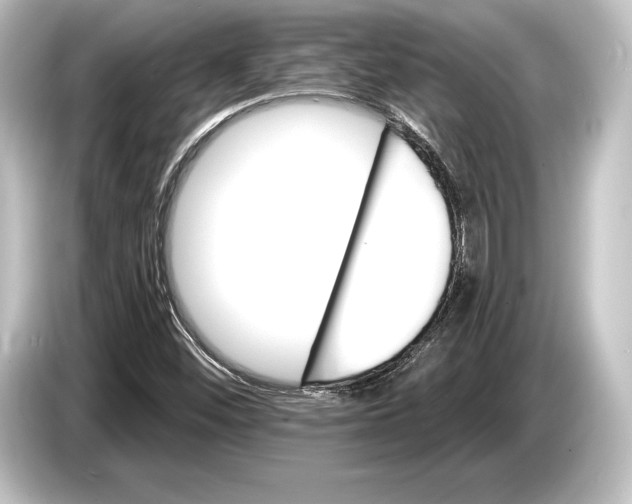 X0000084521452200703161538