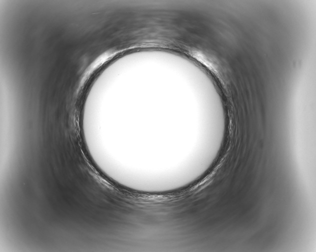 X0000084521454200703161538