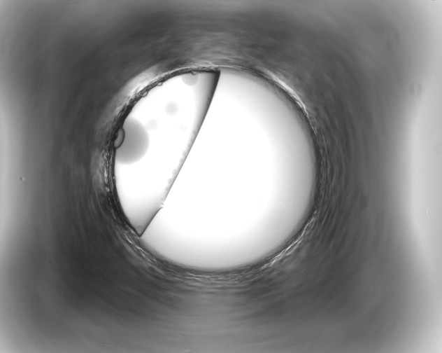 X0000084521455200703161538