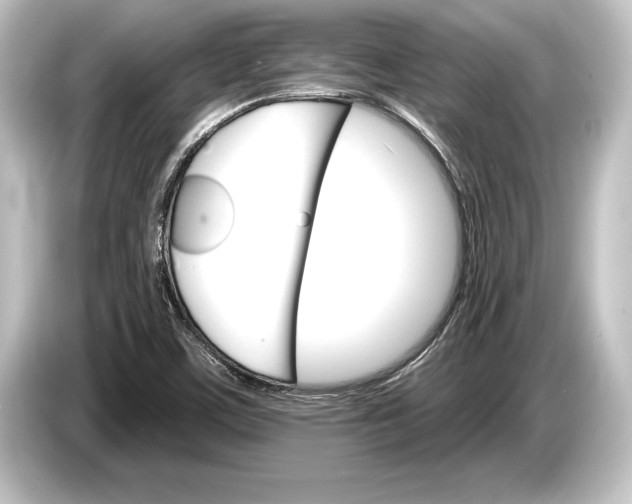 X0000084521459200703161538