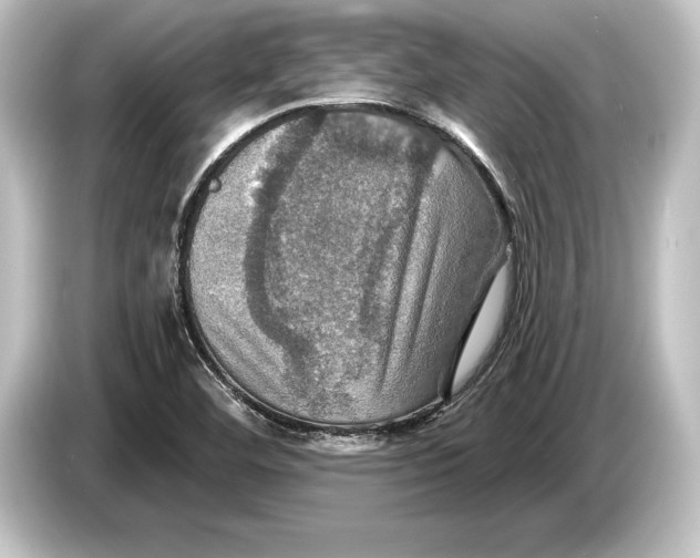 X0000084521460200703161538