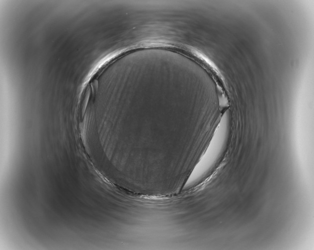 X0000084521461200703161538