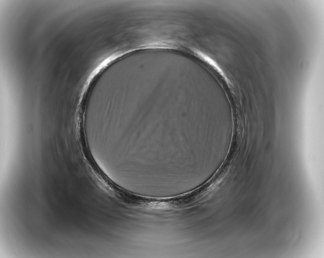 X0000084521463200703161538