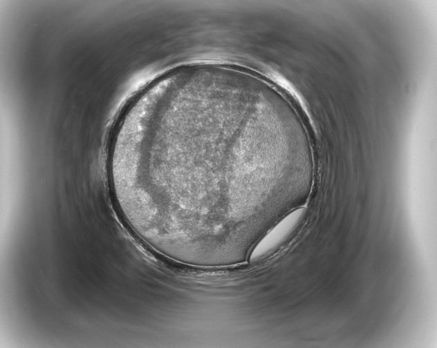 X0000084521464200703161538